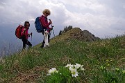 Monte Valgussera, Pizzo Vescovo, Monte Brate, tre cime ad anello da Foppolo il 28 maggio 2016 - FOTOGALLERY
